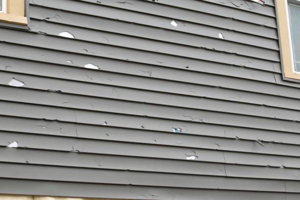 Best Siding Removal and Disposal  in Brownlee Park, MI